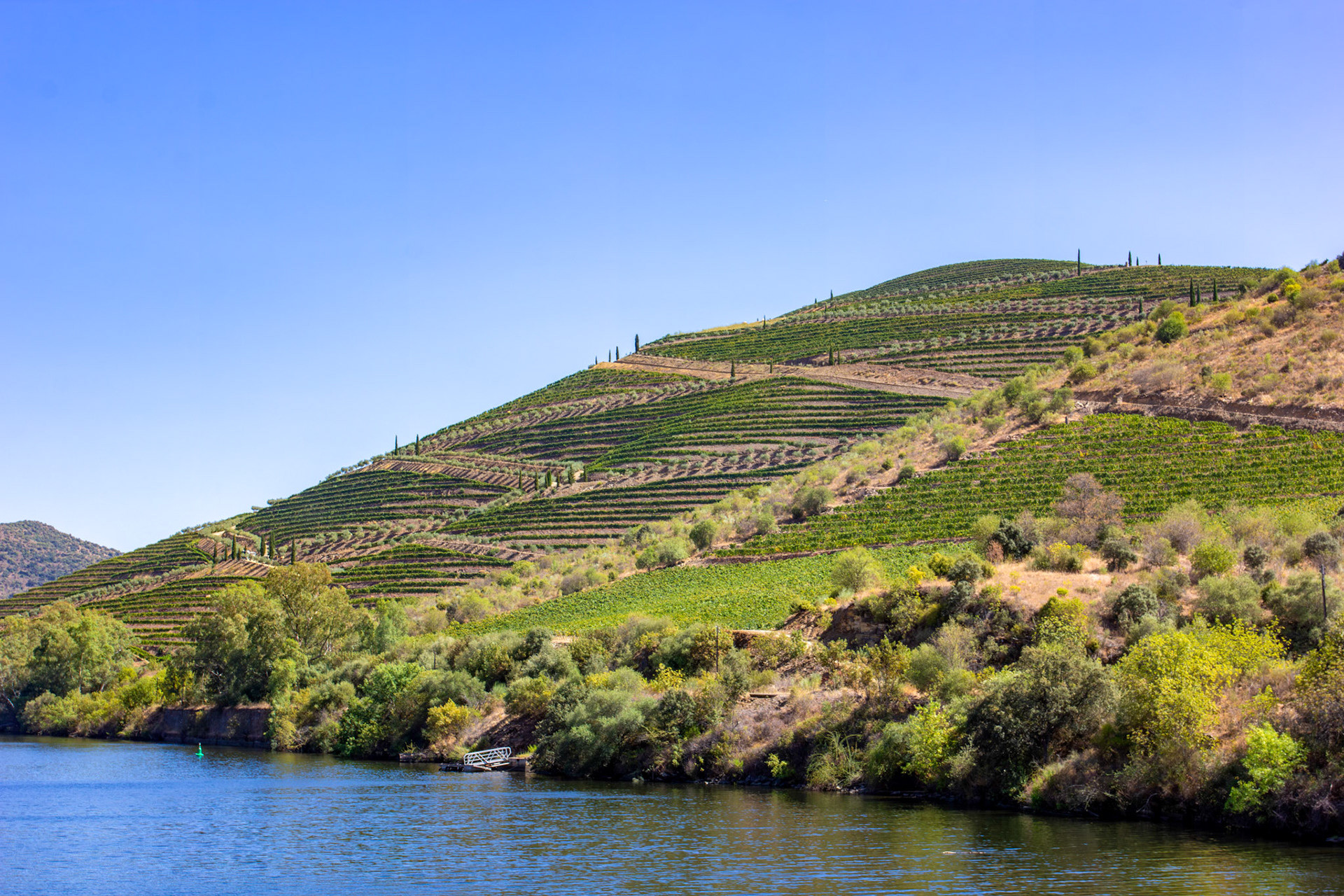 Douro cruise 22 August 2026