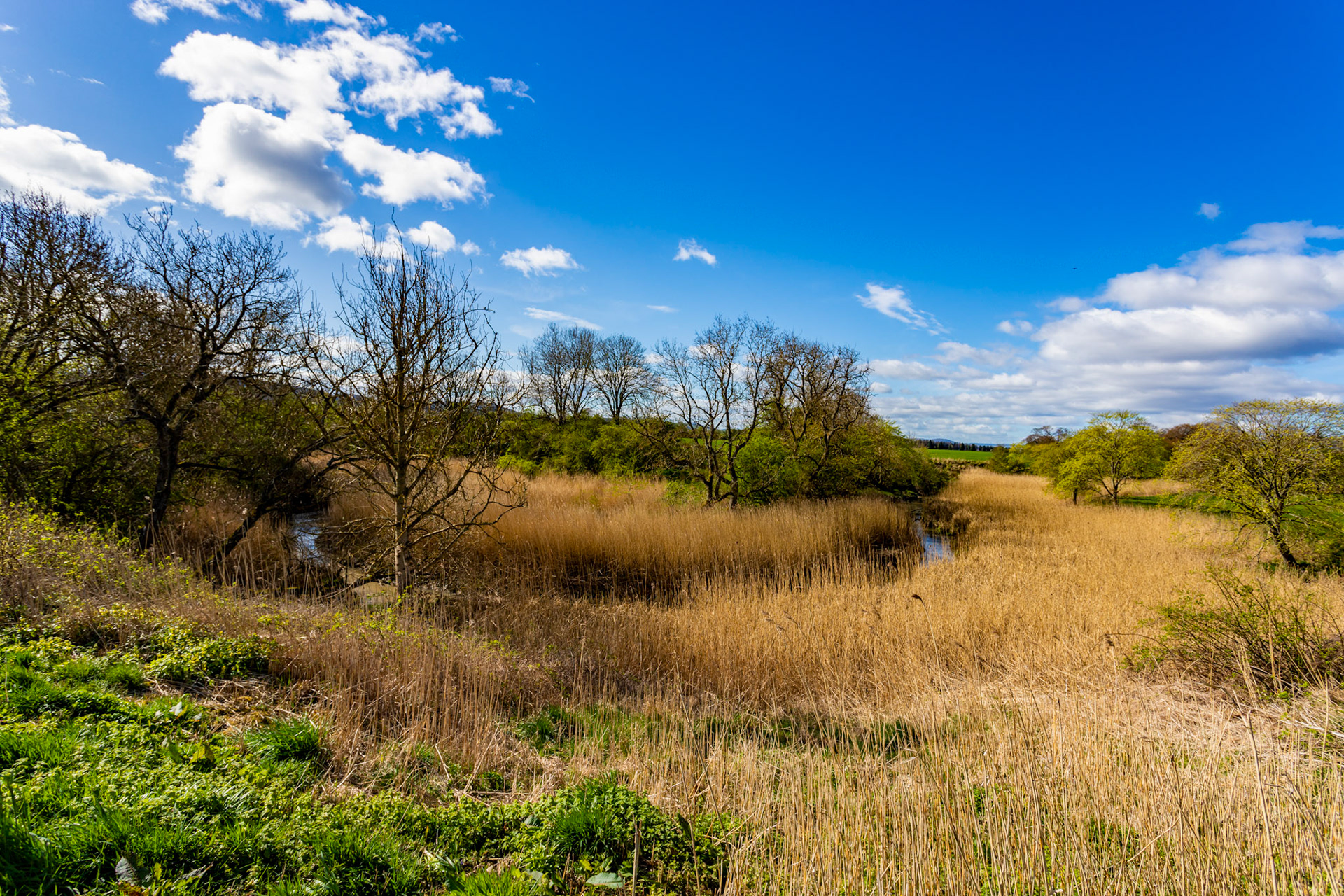 Powgavie 17 April 2024
