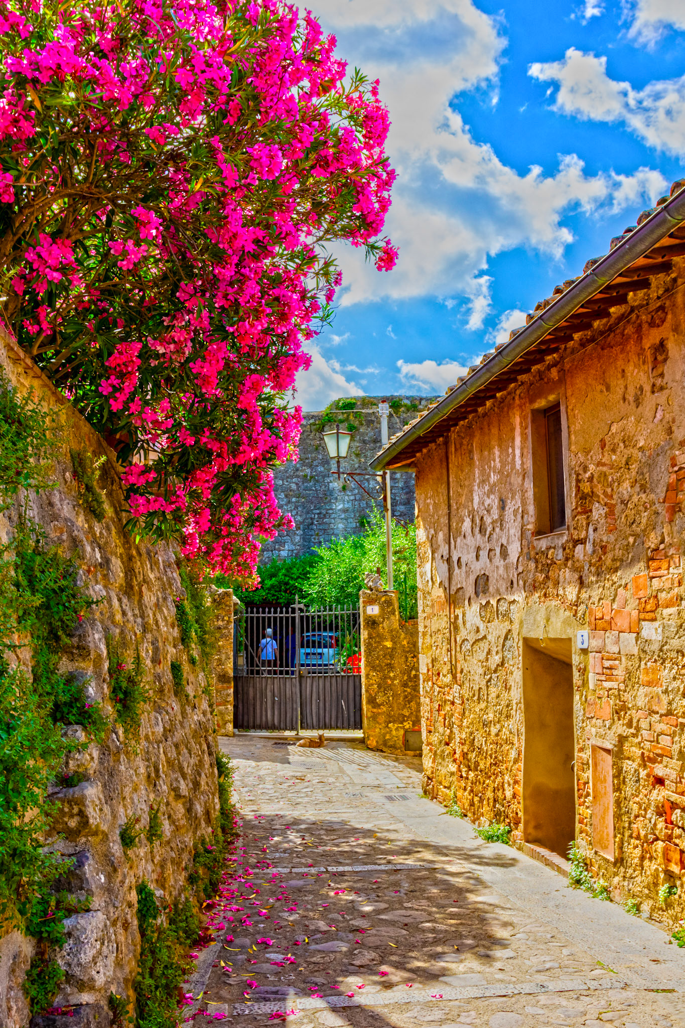 Monteriggioni 22 June 2024