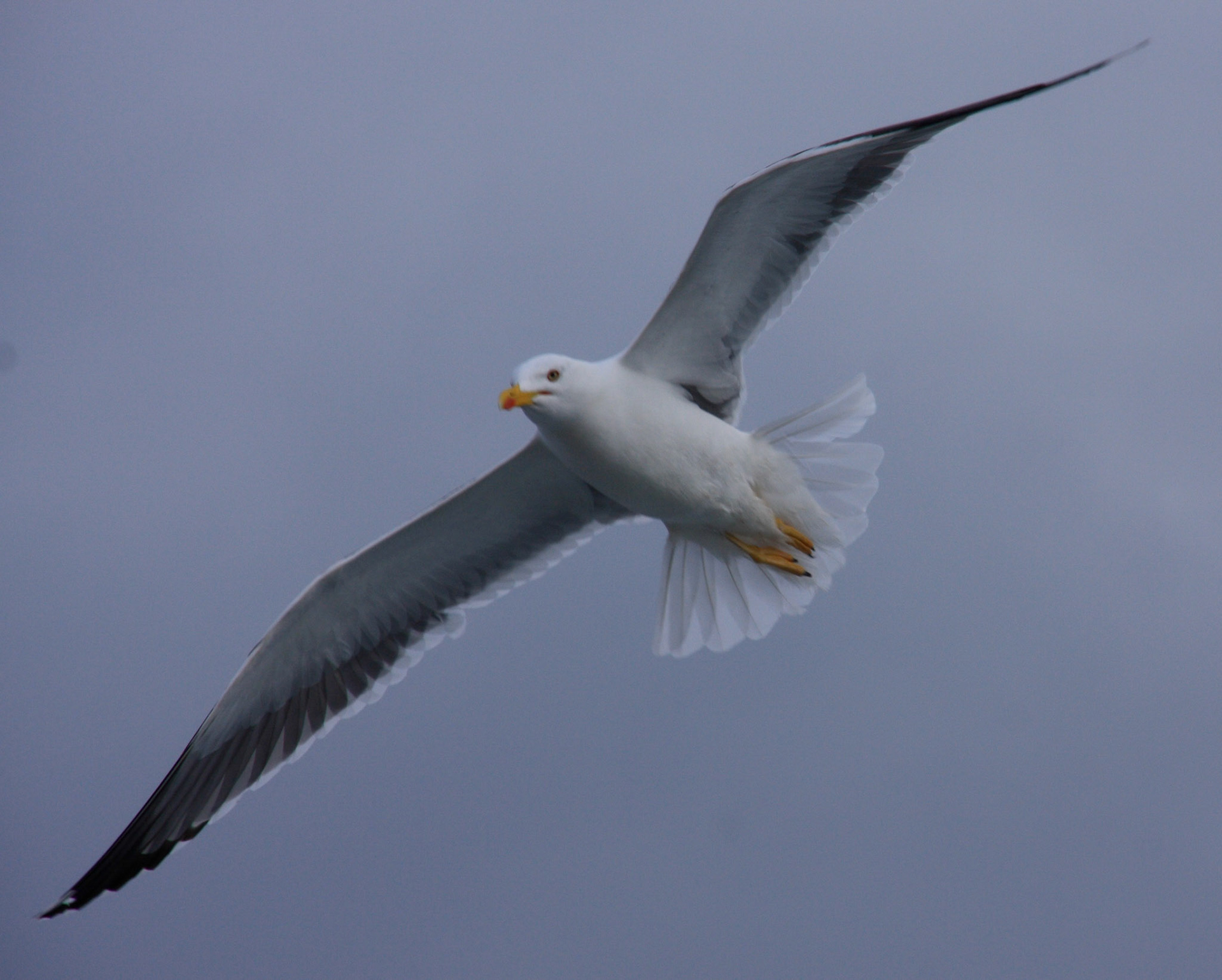 ObanPlease see my other Photographs at: http://www.jamespdeans.co.uk/