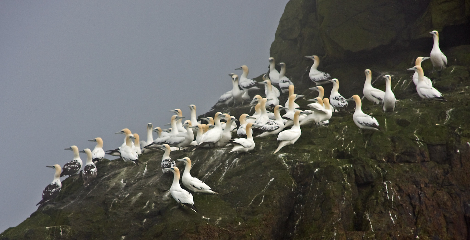 St KildaPlease see my other Photographs at: http://www.jamespdeans.co.uk/