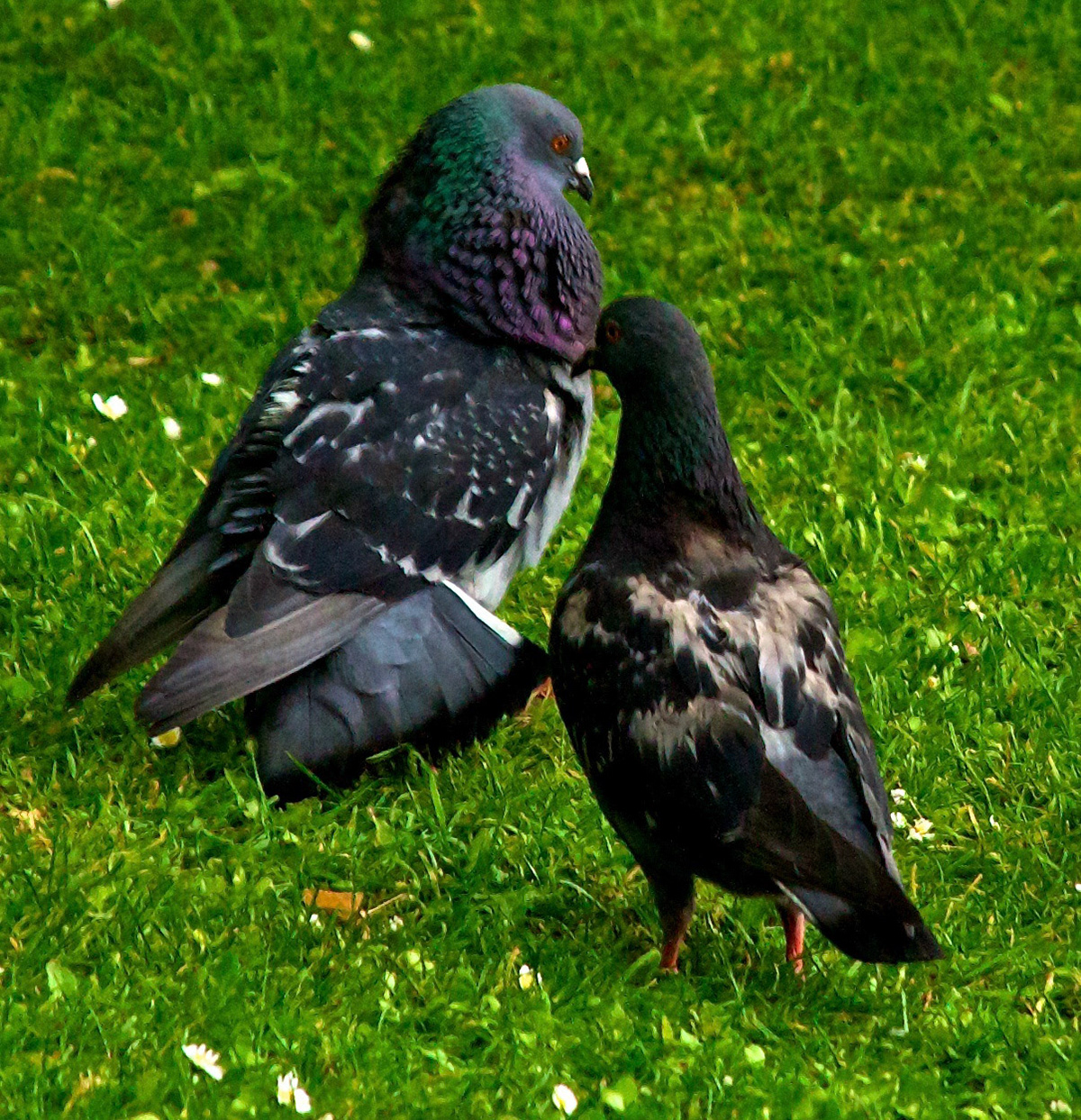 LondonPlease see my other Photographs at: http://www.jamespdeans.co.uk/