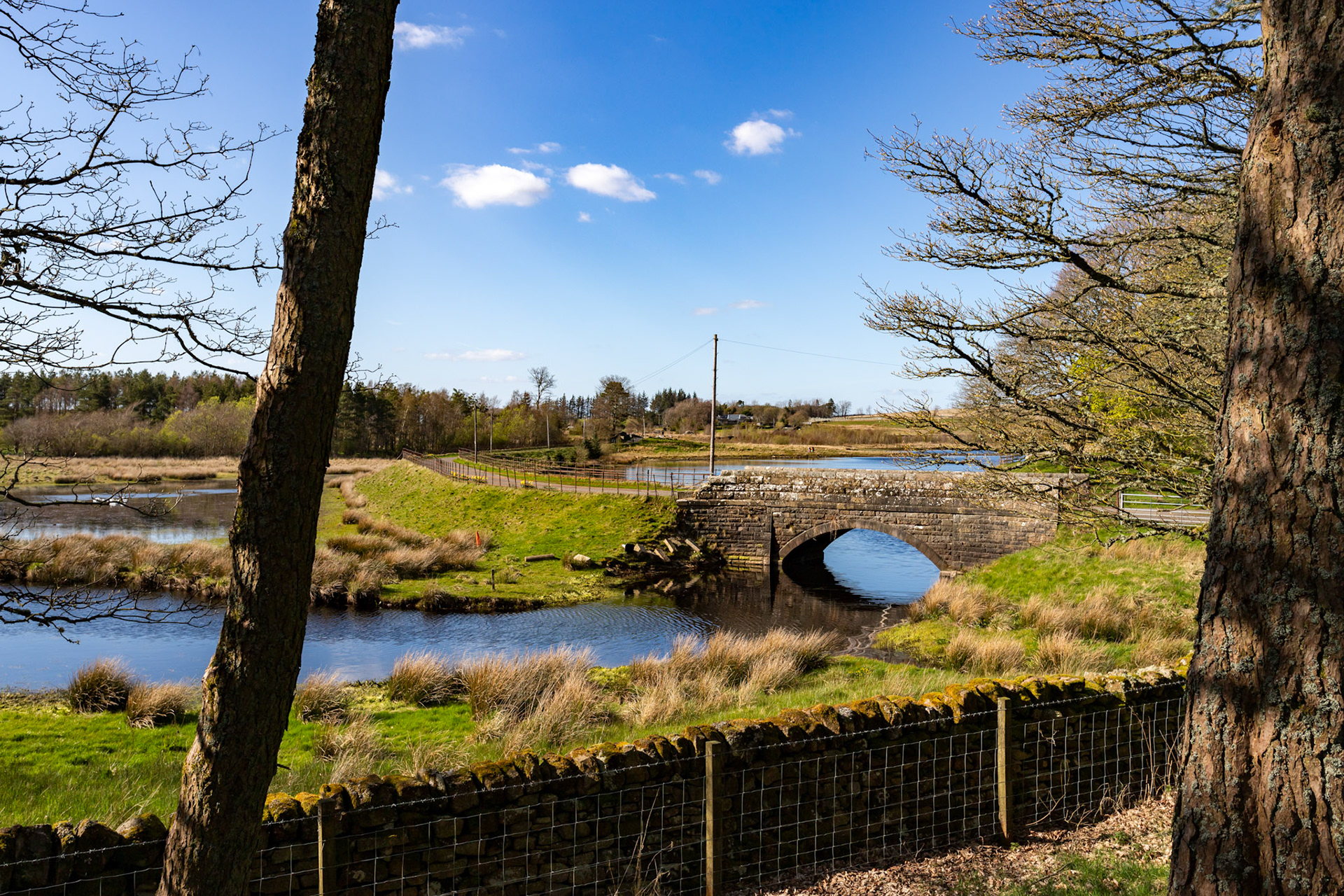 Harperrig 24 April 2024