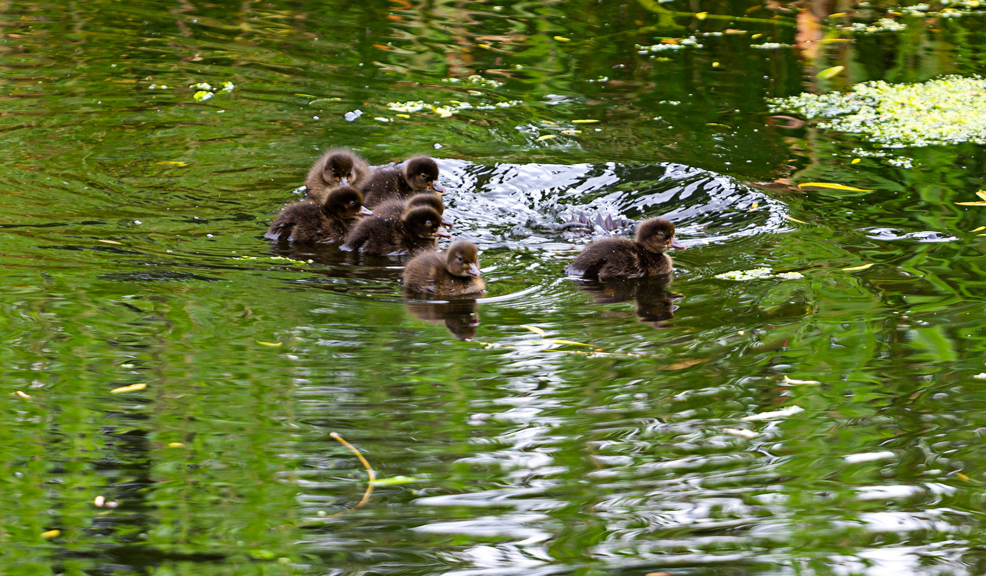 Little Moreton Hall  17 June 2023