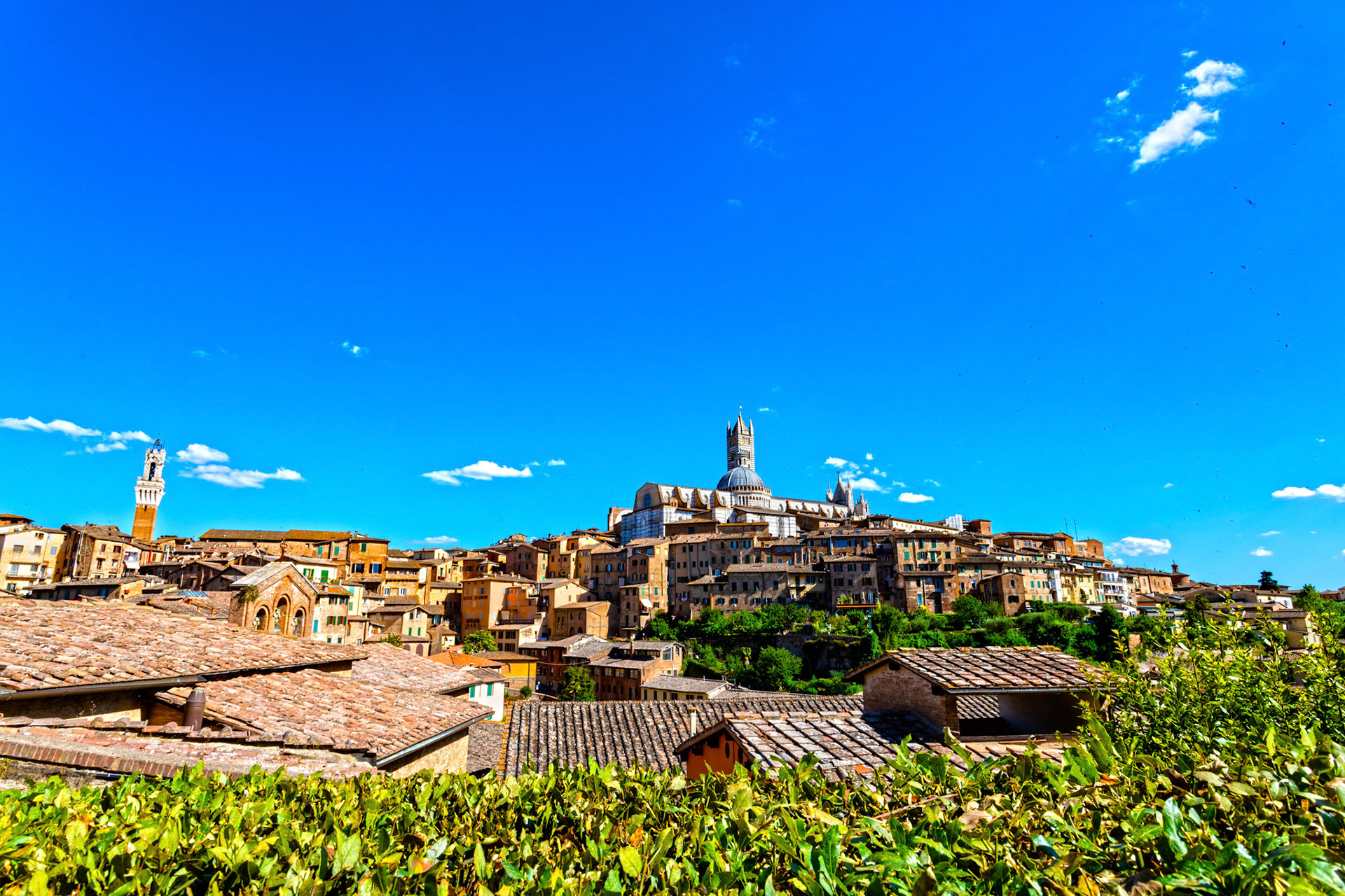 Duomo (Cathedral) on the Siena Skyline 17 June 2024