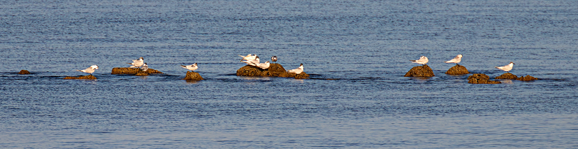 Irvine Sea Front 01 October 2024