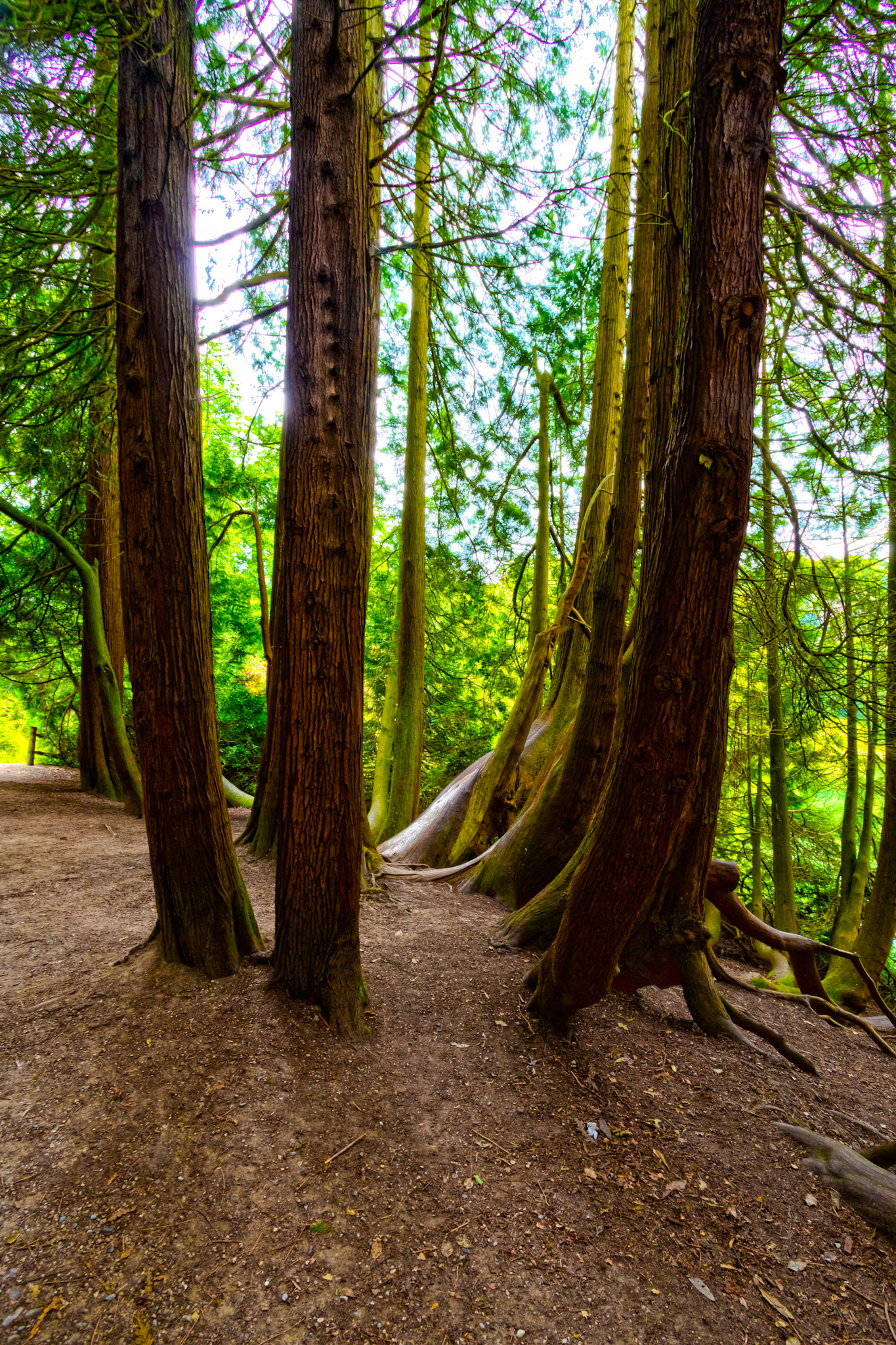 Stourhead Estate, Wiltshire 28 June 2023