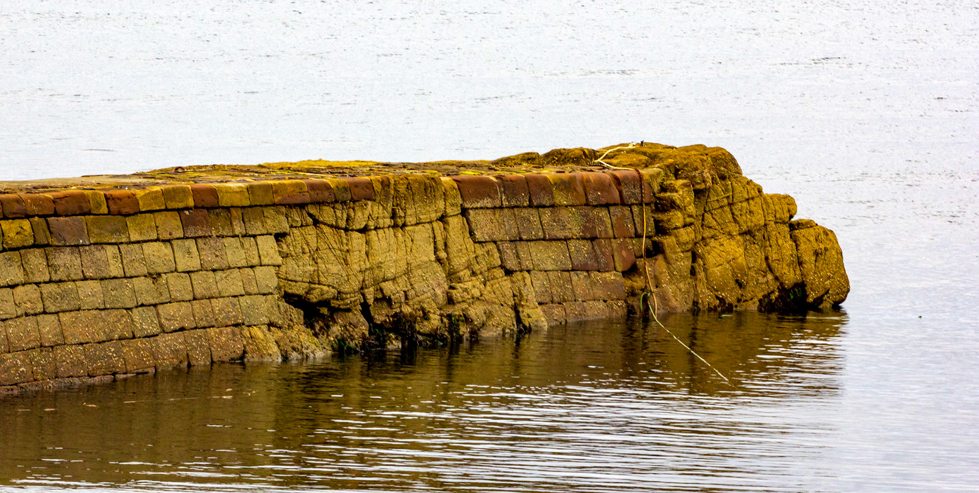Rockfield 30 Aug 2021 Please see my other photos at JamesPDeans.co.uk
