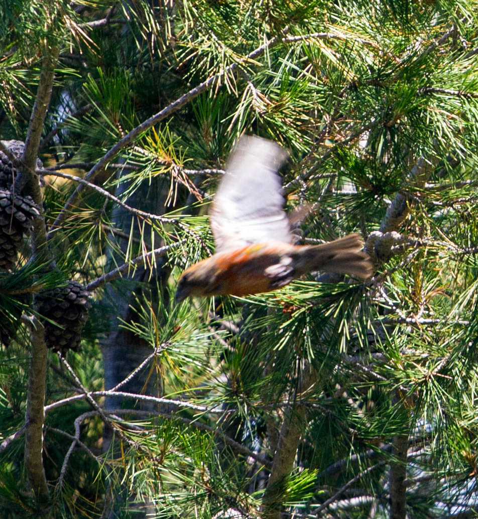AlcudiaPlease see my other Photographs at: www.jamespdeans.co.uk
