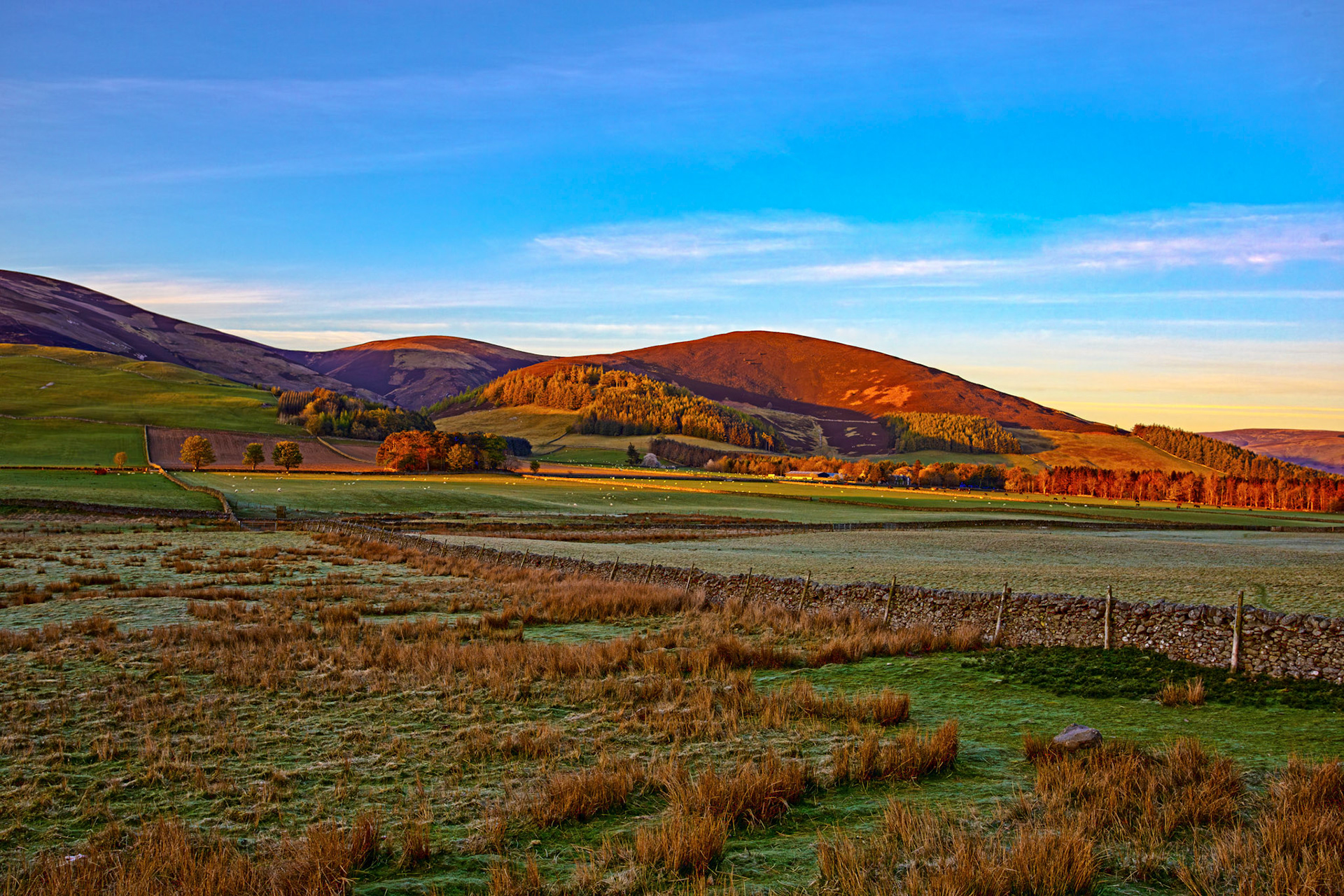 Scenery around Cademuir Hill