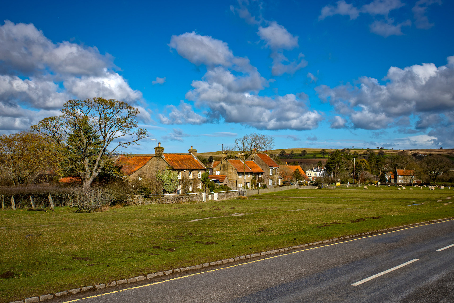 Goathland - North York Moors 25 March 2026