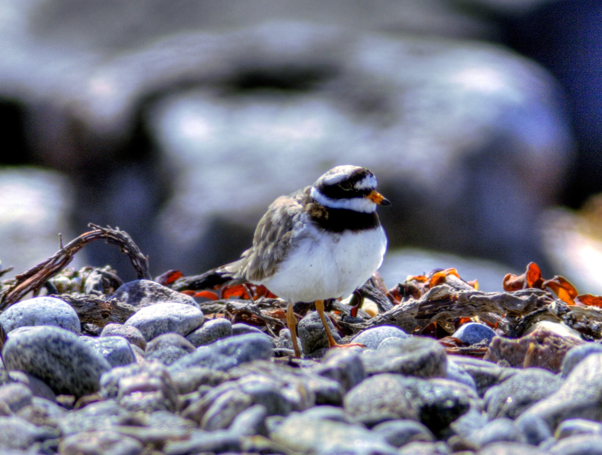 North UistPlease see my other Photographs at: http://www.jamespdeans.co.uk/