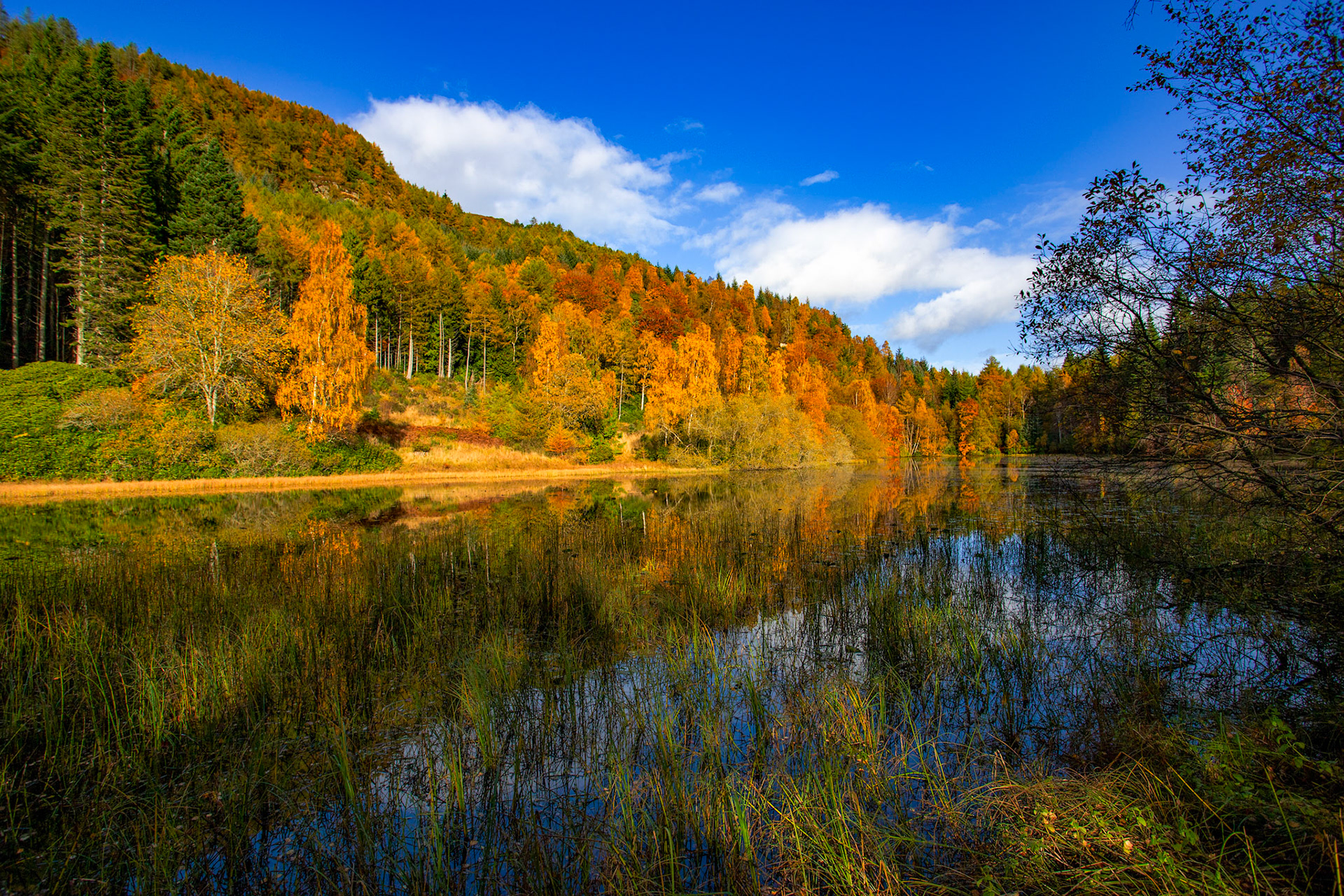 Polney Loch, Dunkeld. Autumnal Tour around Perthshire 19 October 2024