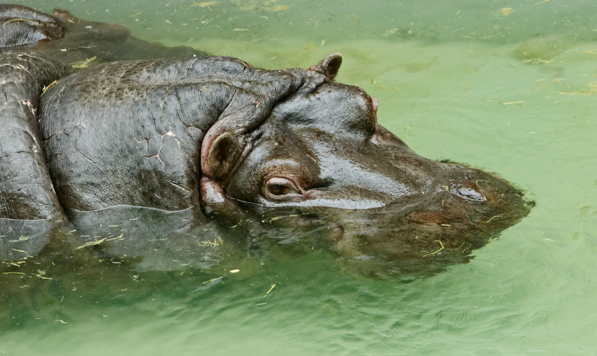 AntwerpPlease see my other Photographs at: http://www.jamespdeans.co.uk/