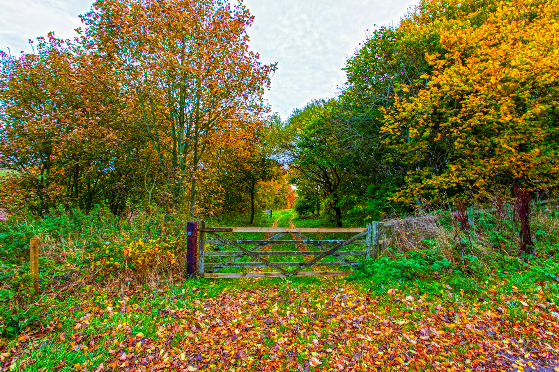 Morriston Borders 27 Oct 2022