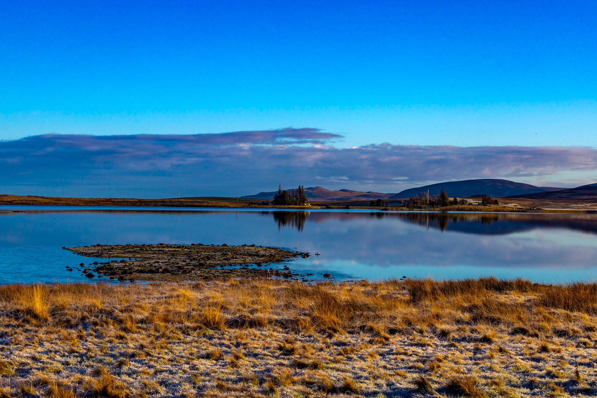 Harperrig 06 January 2024