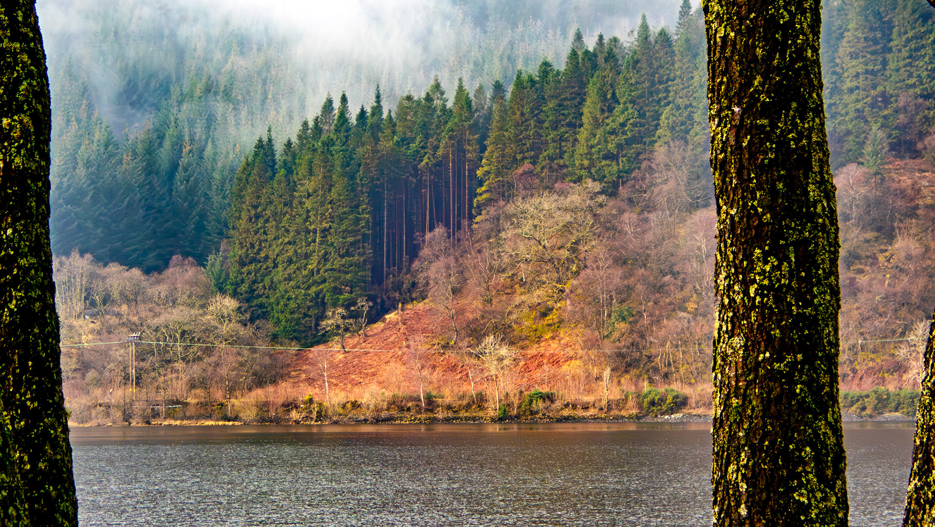 Loch Lubnaig, Stirlingshire, 08 March 2025
