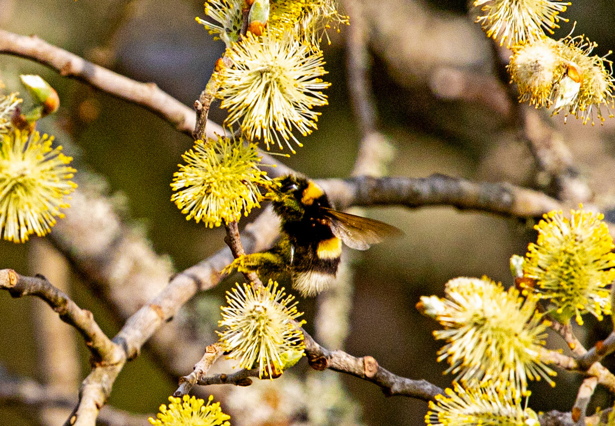Loch Shin 04 May 2024