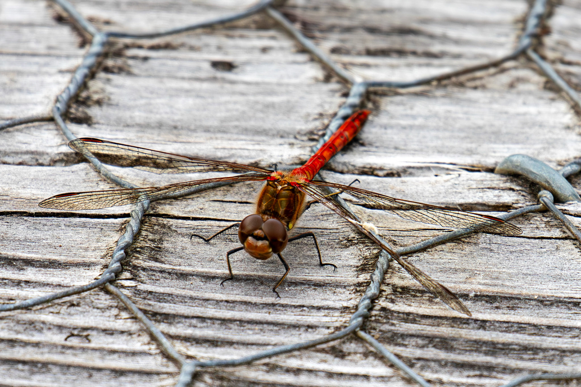 Bavelaw 24 Sept 2025