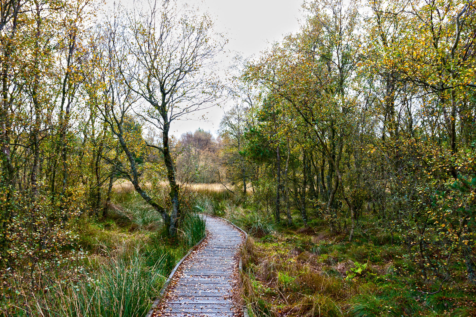 Threipmuir, Edinburgh. Please see my other Photographs at: www.jamespdeans.co.uk