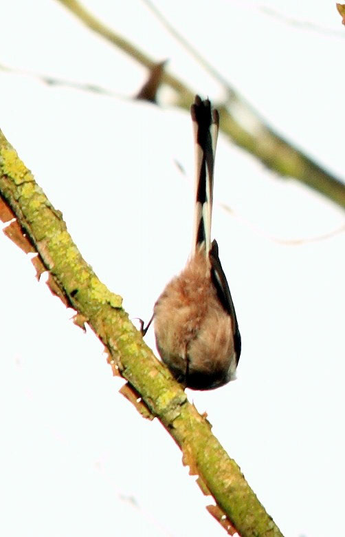 NewburyPlease see my other Photographs at: http://www.jamespdeans.co.uk/