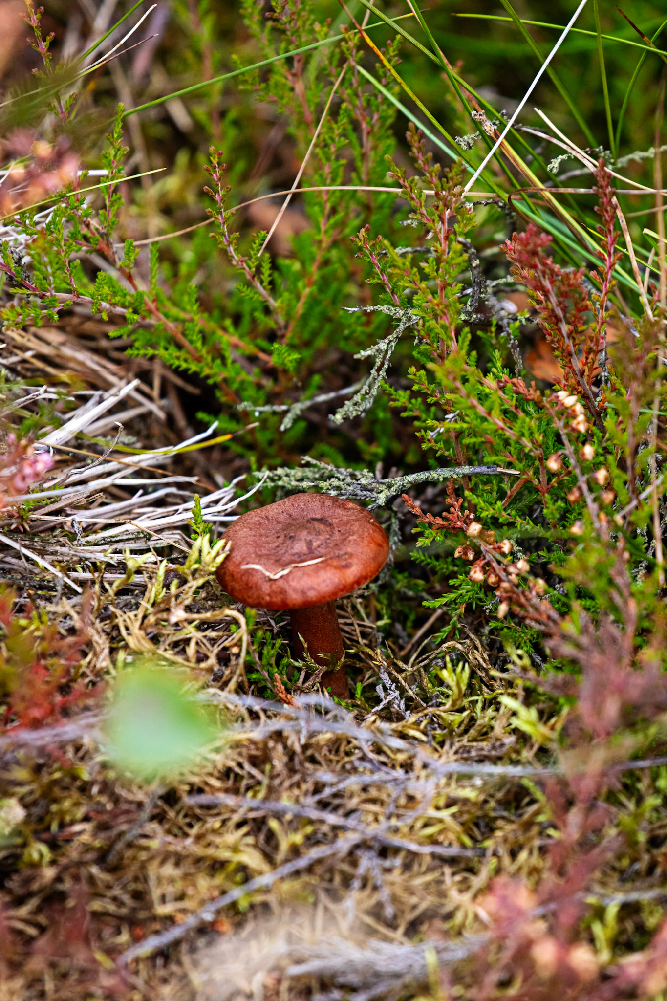 Bavelaw 24 Sept 2025