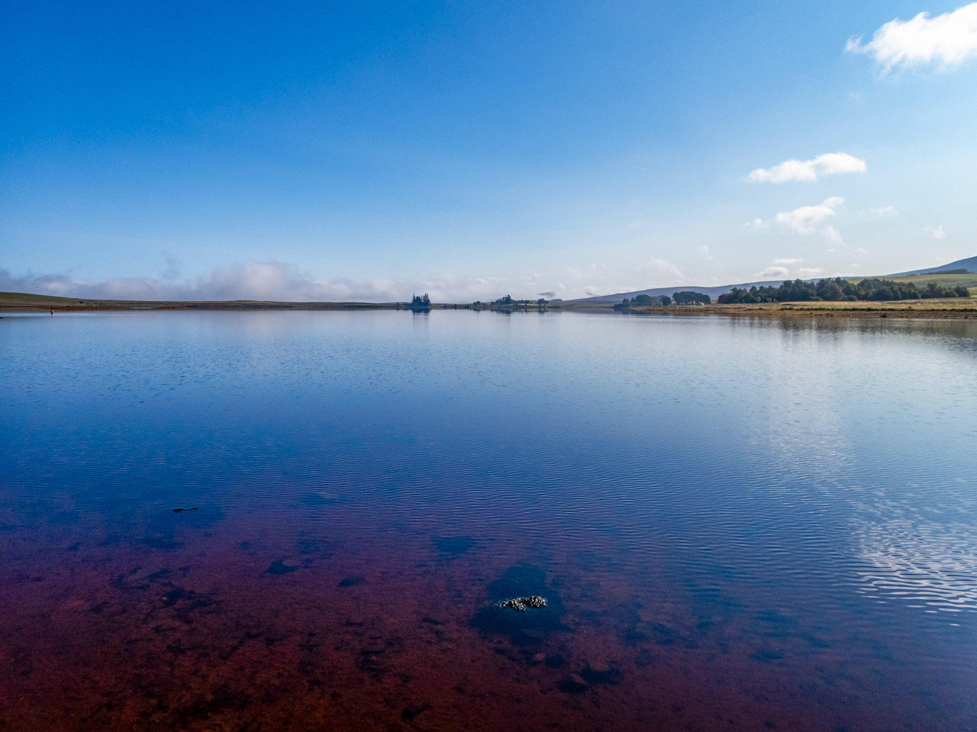 Harperrig 02 Septemer 2023