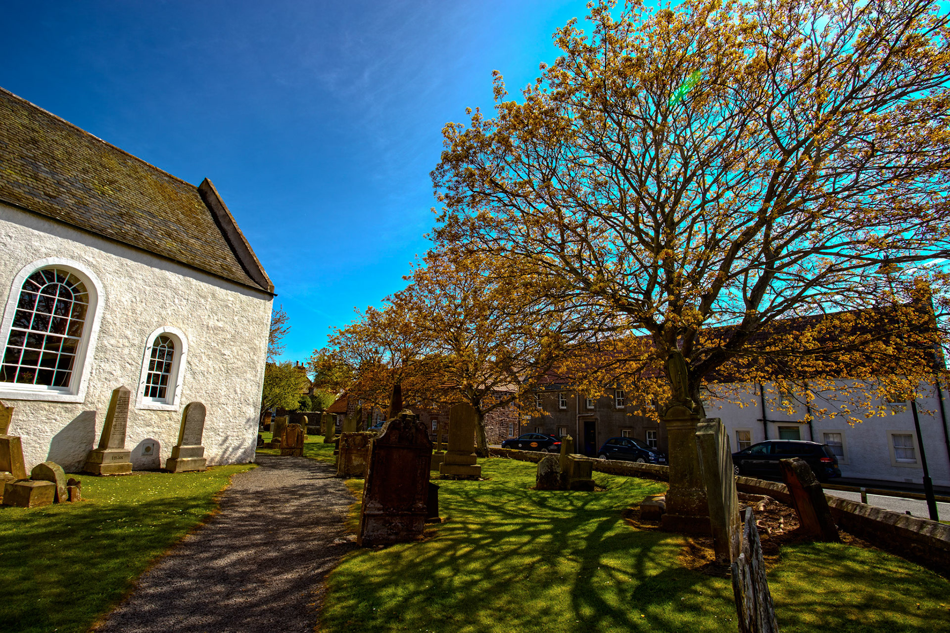 Gifford.