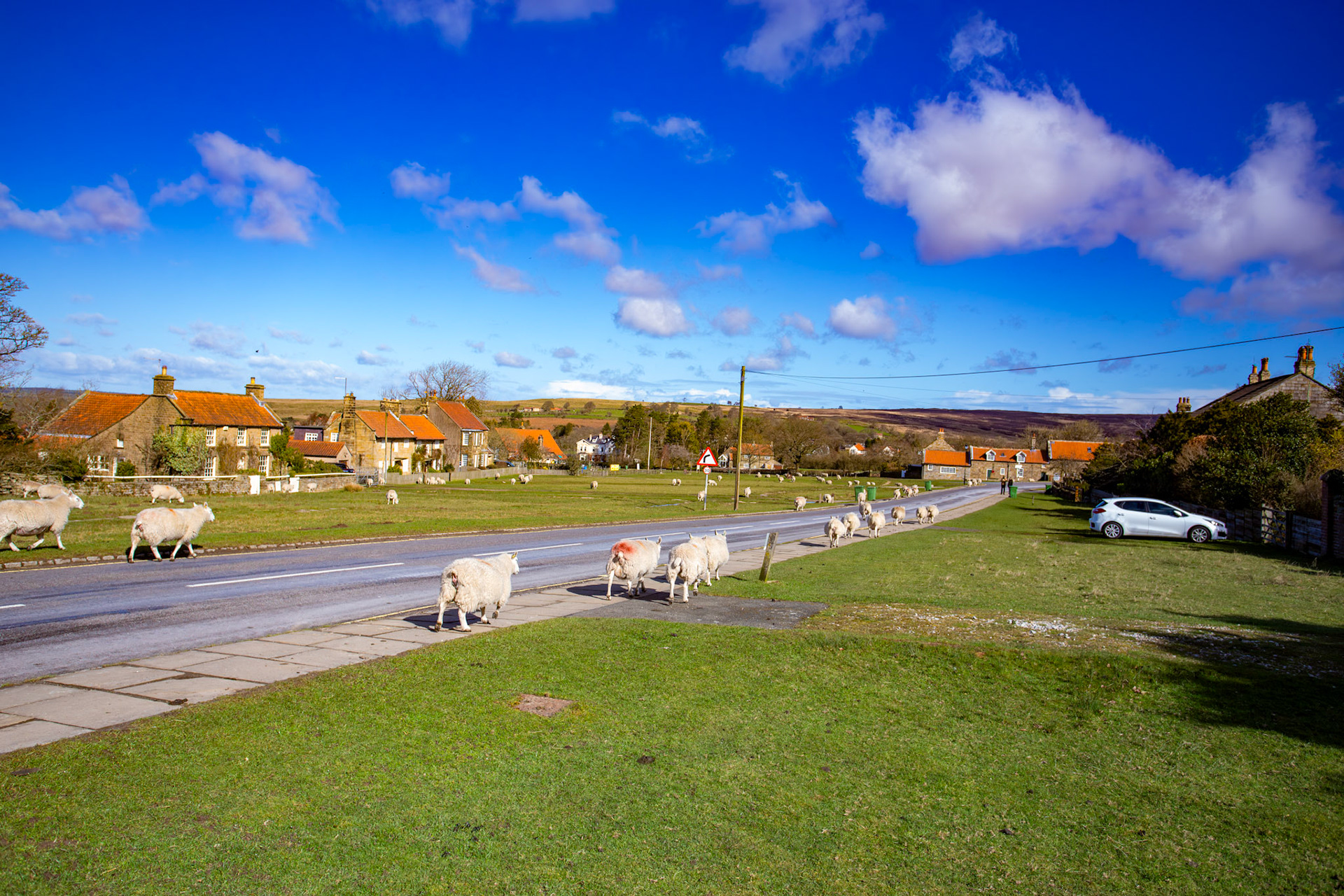 Goathland - North York Moors 25 March 2026