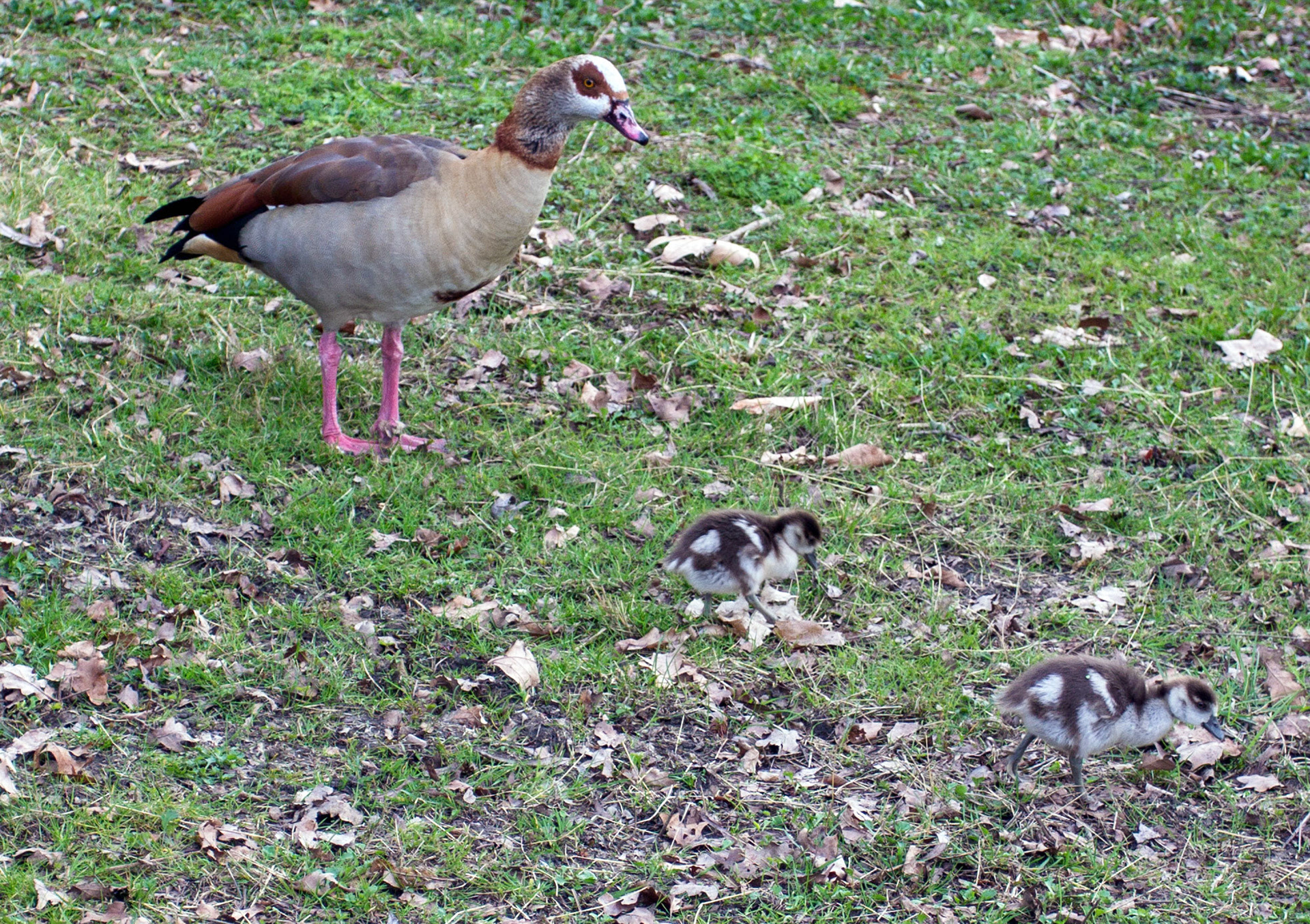 LondonPlease see my other Photographs at: http://www.jamespdeans.co.uk/