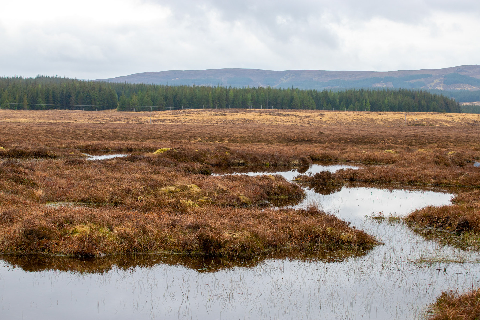 Forsinard 05 May 2024