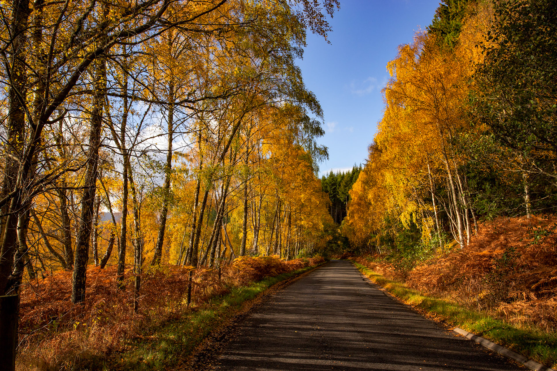 Loch Tummel. Autumnal Tour around Perthshire 19 October 2024