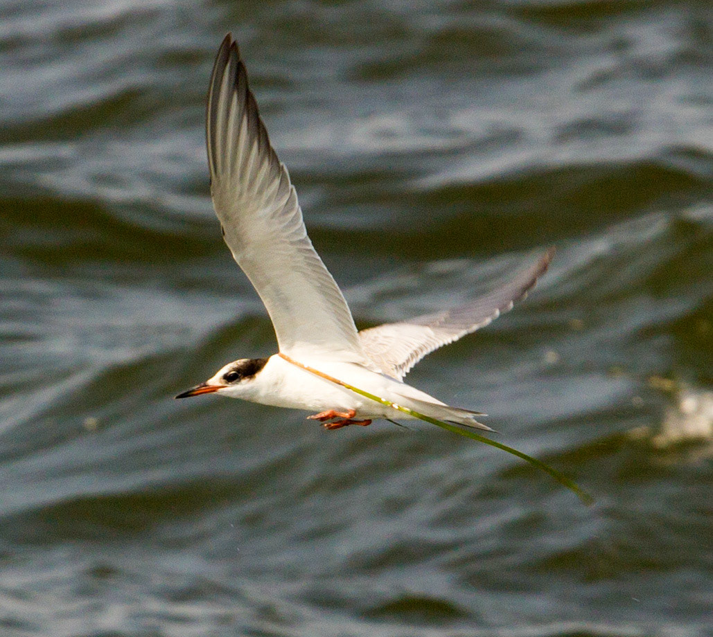 IzmirPlease see my other Photographs at: http://www.jamespdeans.co.uk/