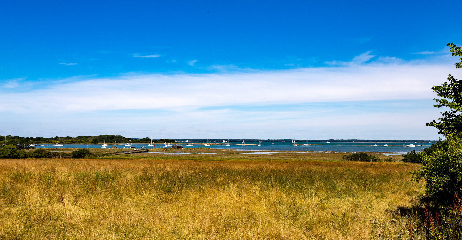 Newtown IOW 14 July 2022