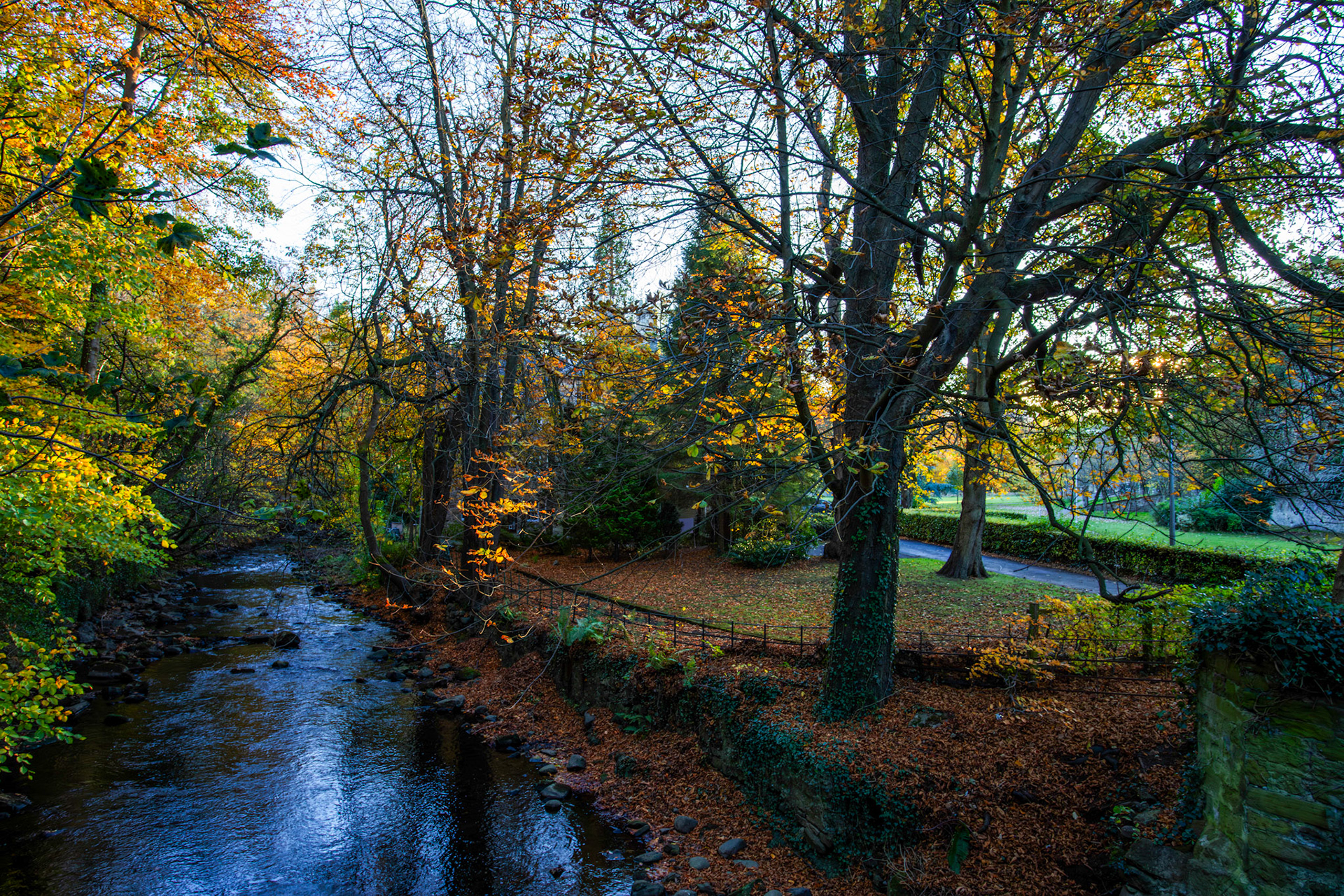 Water of Leith - Colinton 27 October 2025