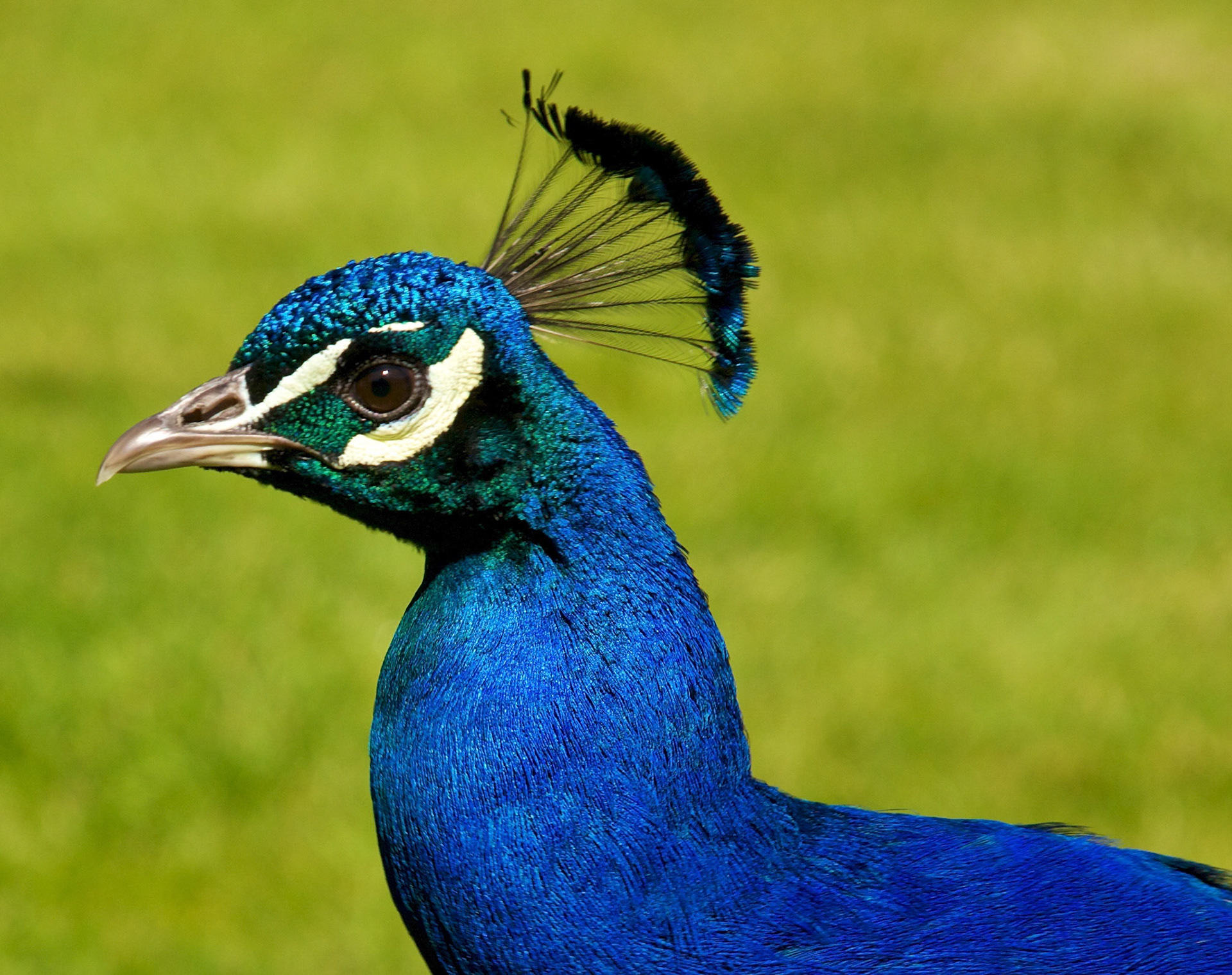 SconePlease see my other Photographs at: http://www.jamespdeans.co.uk/