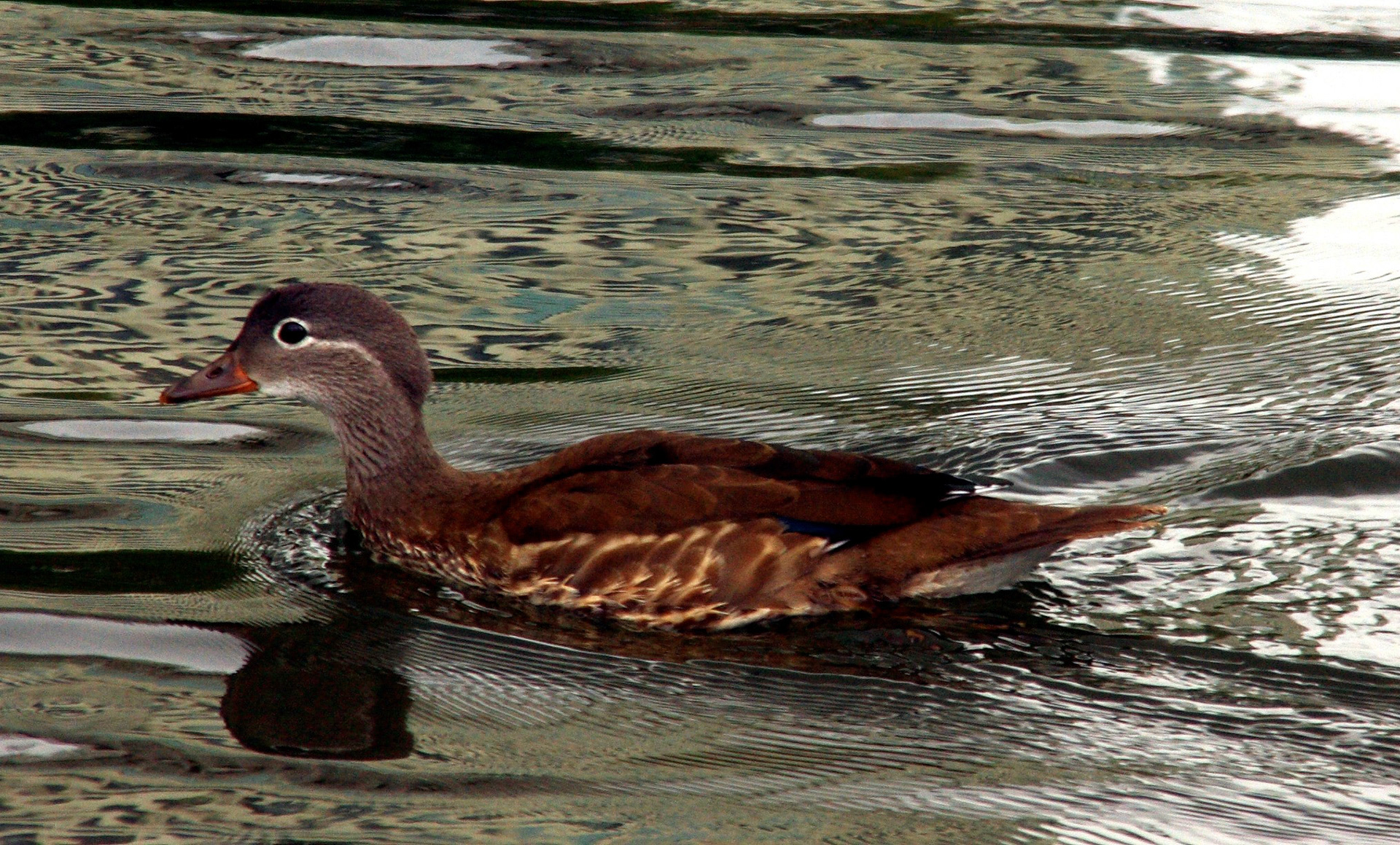 LondonPlease see my other Photographs at: http://www.jamespdeans.co.uk/