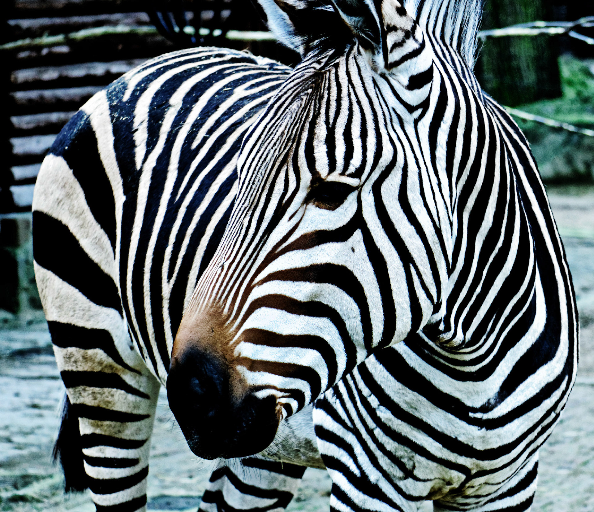 AntwerpPlease see my other Photographs at: http://www.jamespdeans.co.uk/