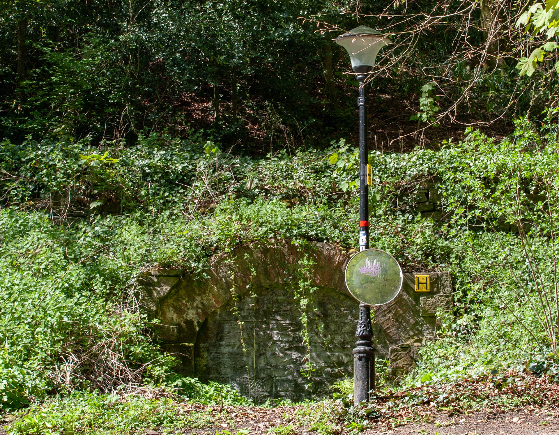 Durham 04 to  07 May 2018Please see my other Photographs at: www.jamespdeans.co.uk