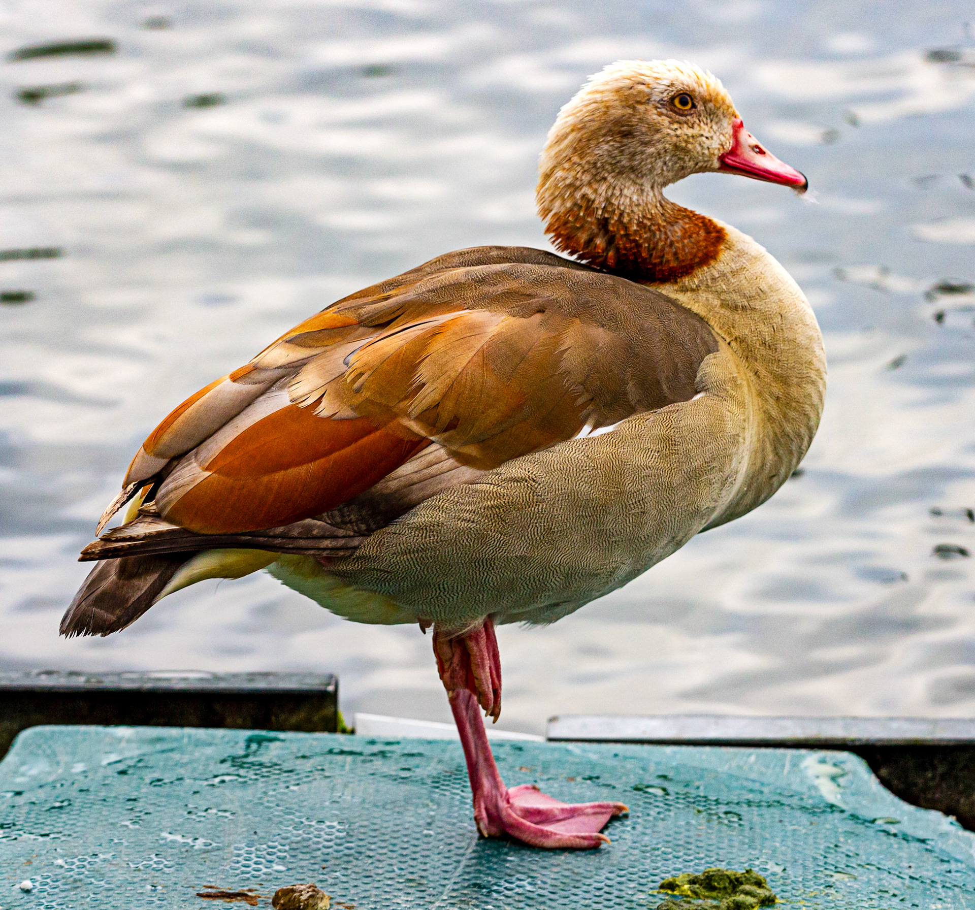 Reading 07 June 2024