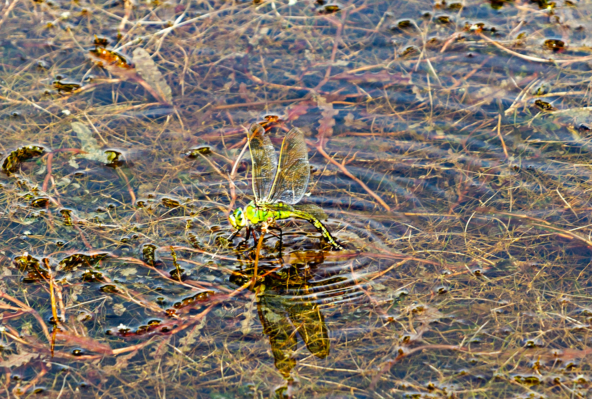 Brockhampton 19 June 2023