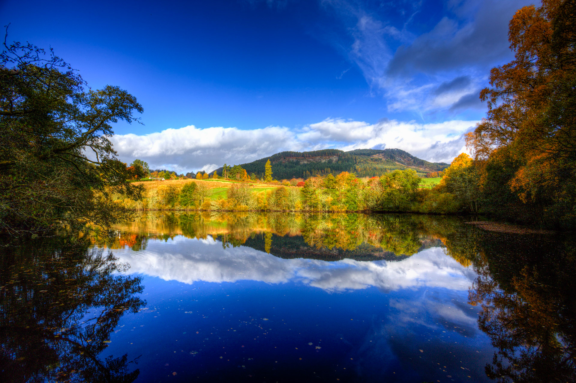 The Cuilc, Pitlochry. Autumnal Tour around Perthshire 19 October 2024