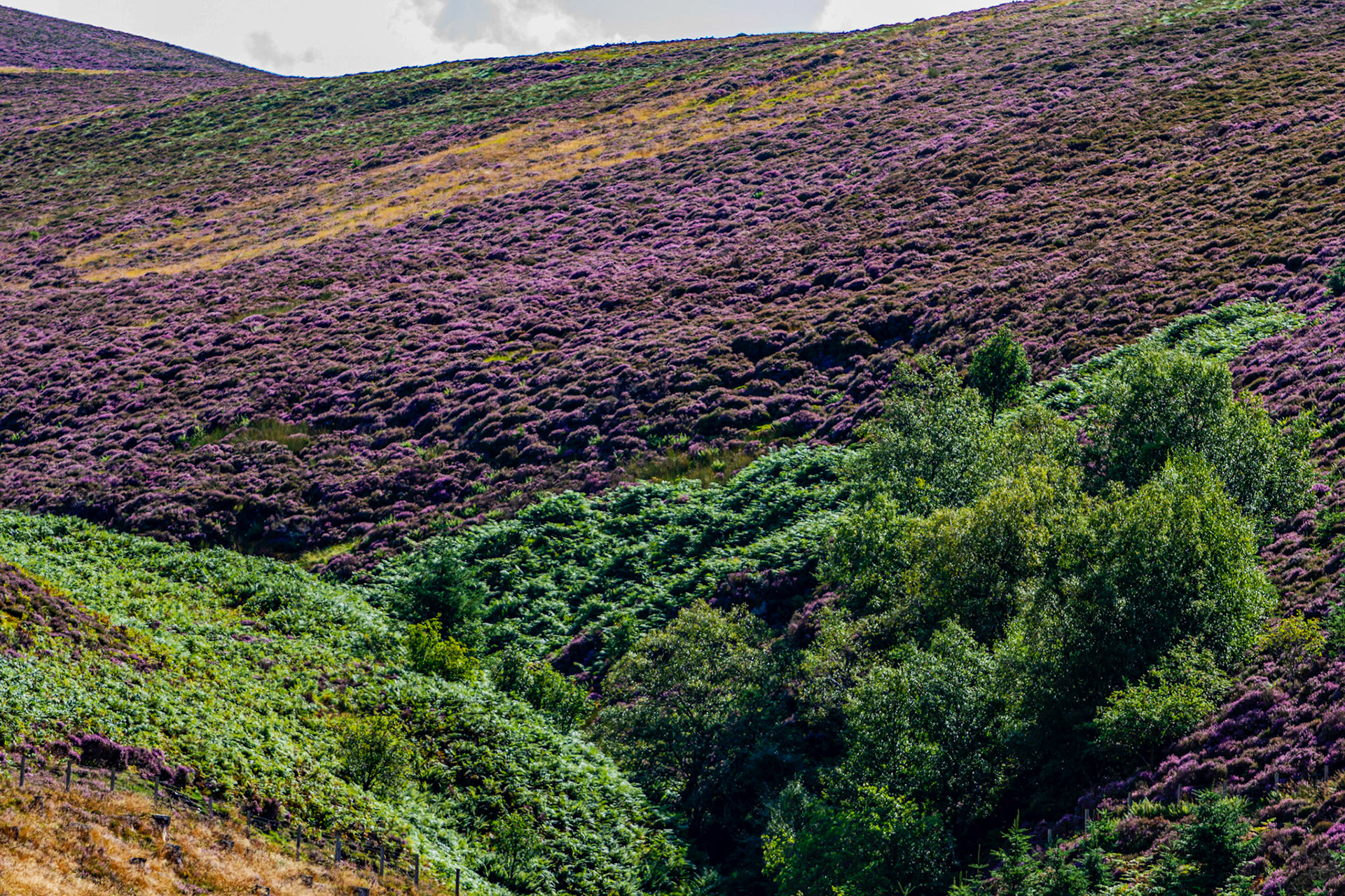 Leadhills 27 August 2022