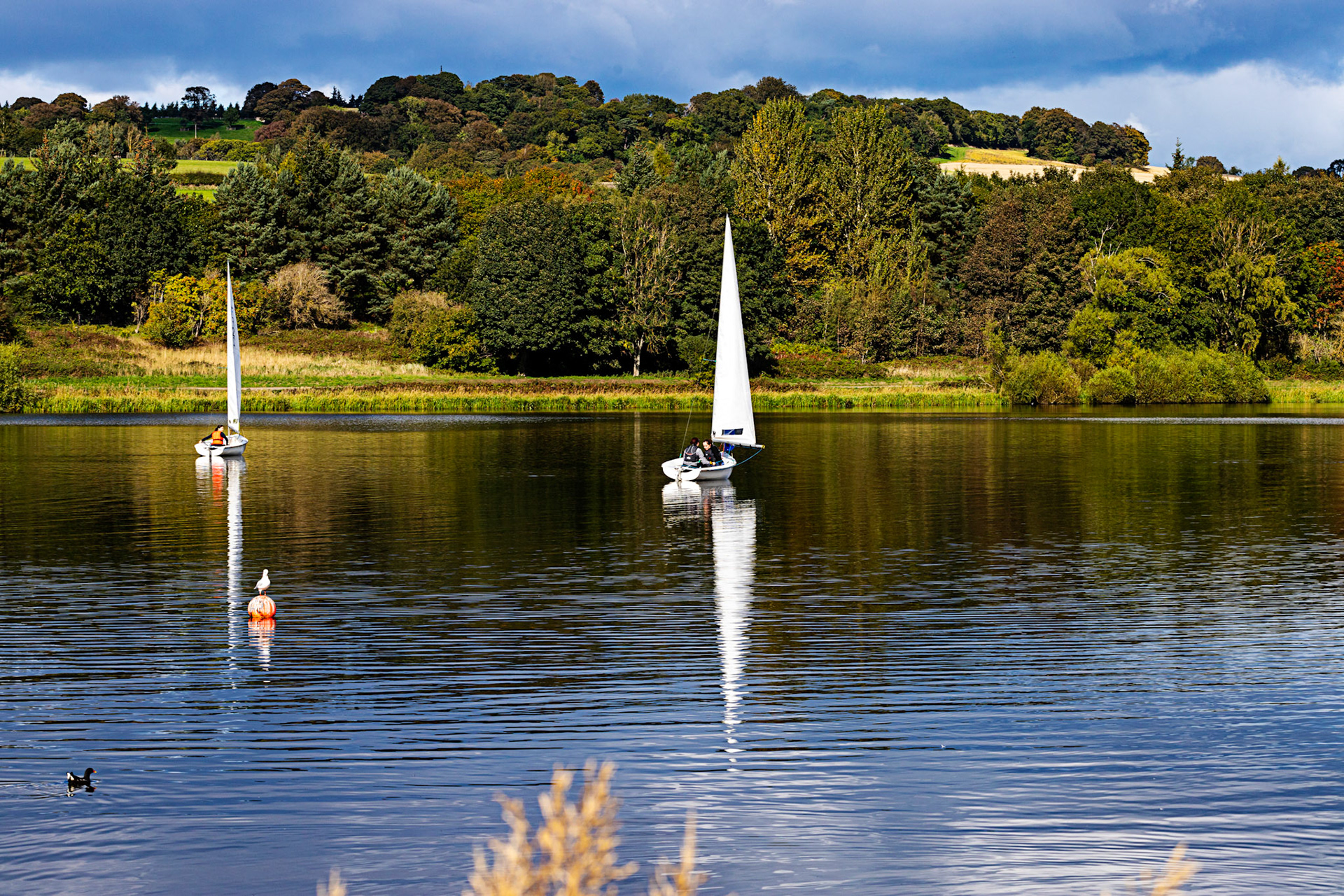 Sailing on Linlithgow Loch, with Reflections - 24 September 2022
