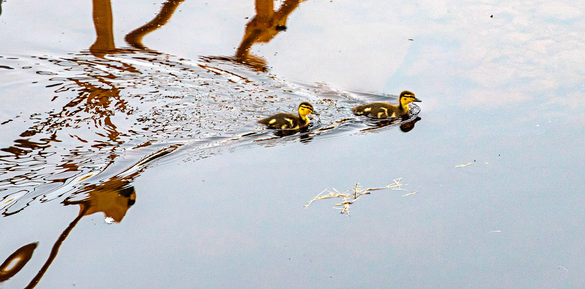 Subsea7 Bridge of Wester facility 05 May 2024