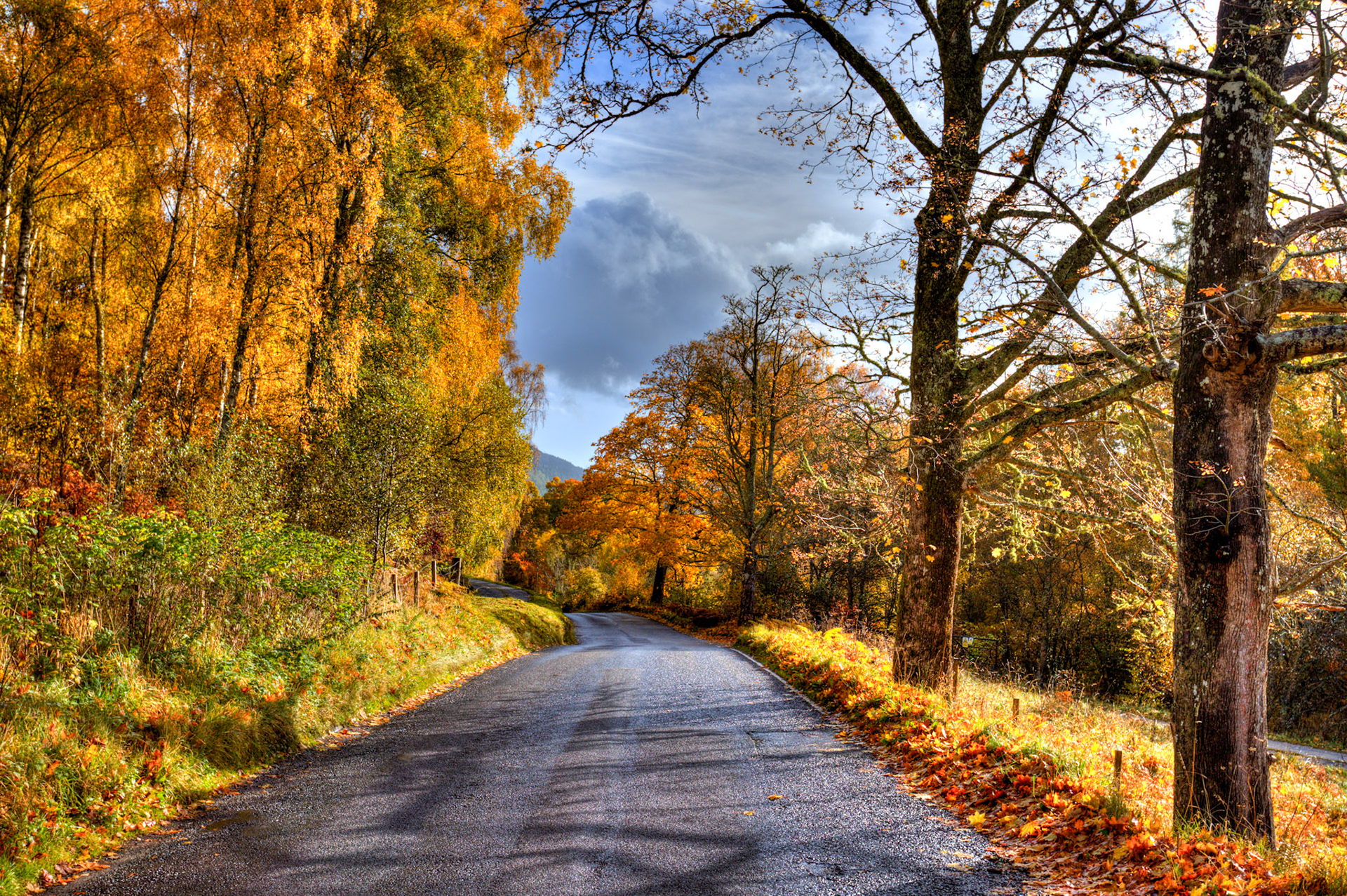 Autumnal Tour around Perthshire 19 October 2024