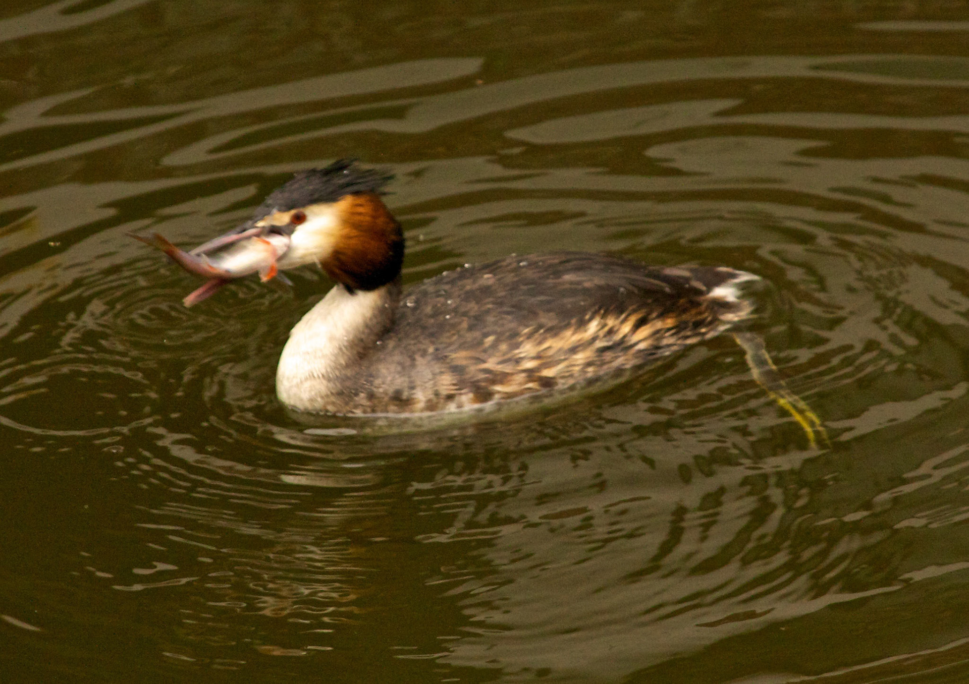 DelftPlease see my other Photographs at: http://www.jamespdeans.co.uk/