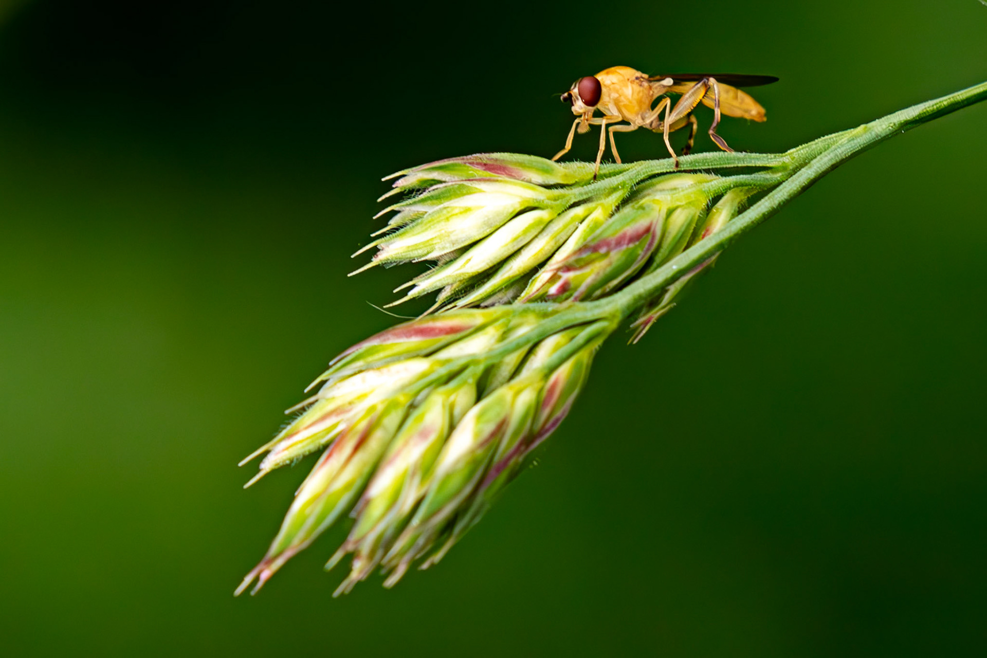 Gogar Bridge - Leyburn Road 31 May 2025