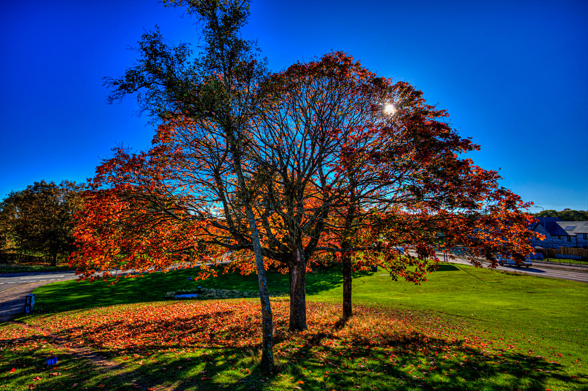 Dundee 15 October 2025