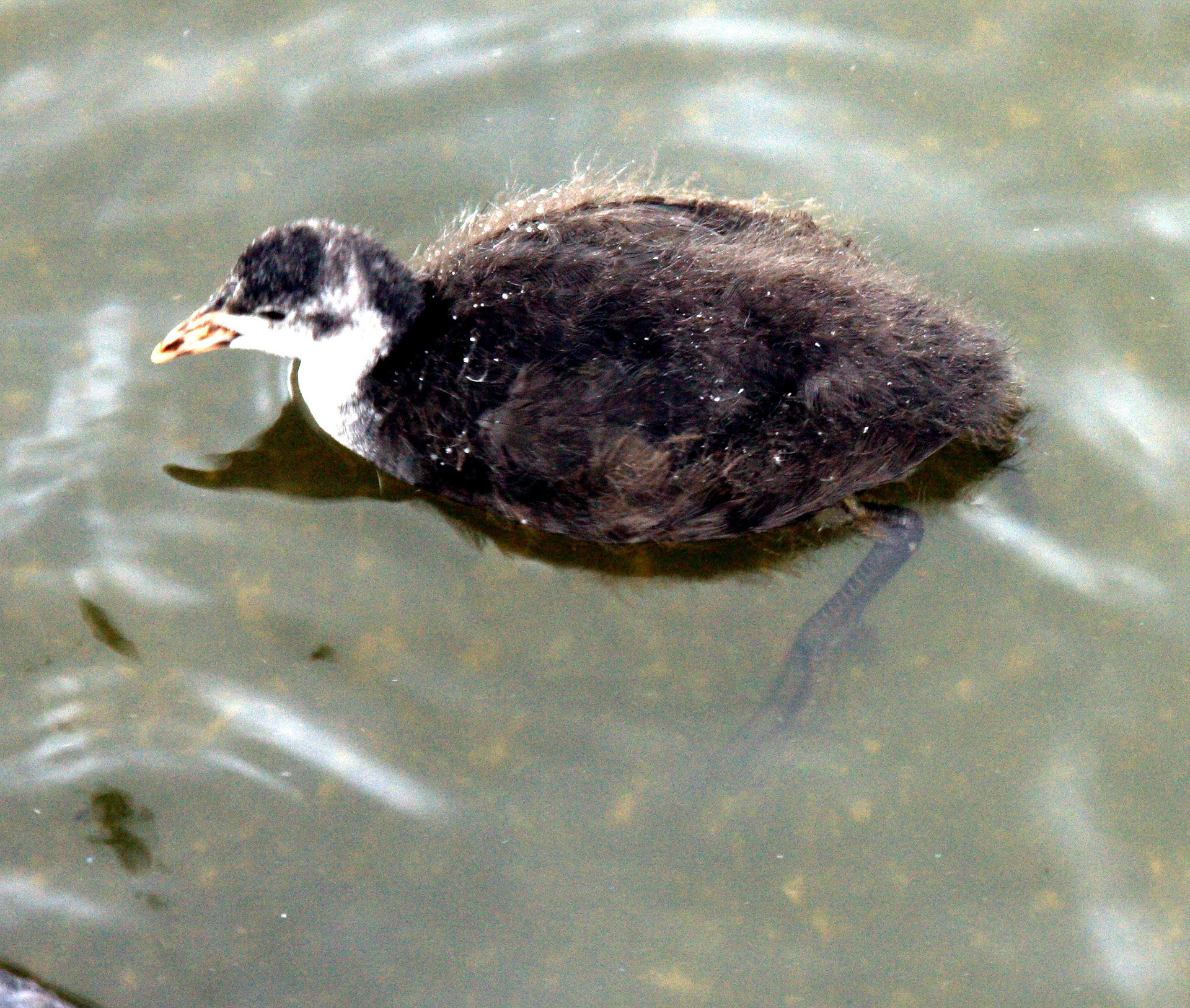 LondonPlease see my other Photographs at: http://www.jamespdeans.co.uk/